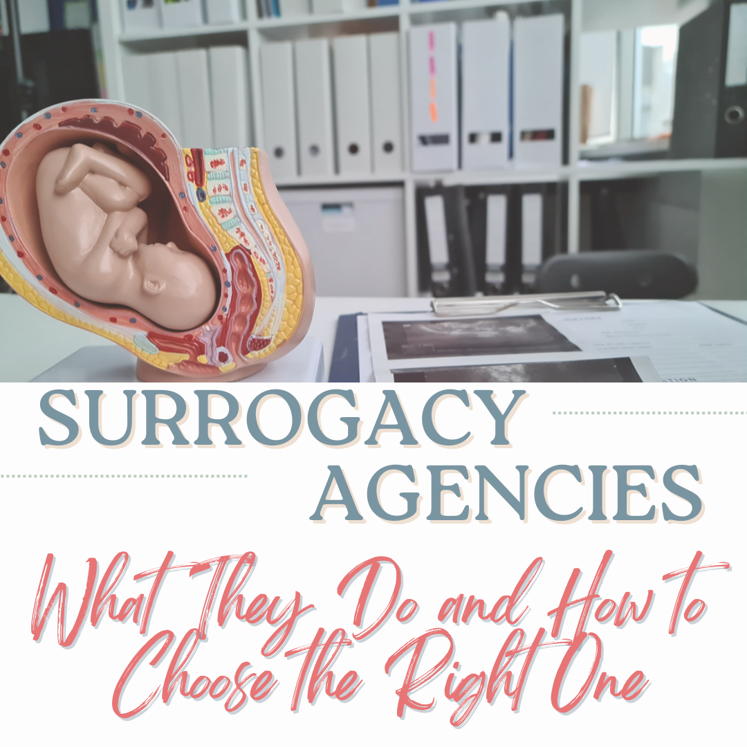 Surrogacy Agencies What They Do And How To Choose The Right One Surrogacy Mentor 3712